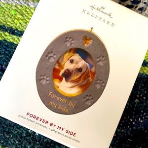 🌟NEW🌟  Hallmark Keepsake Ornament